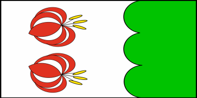 Vlajka obce Svor